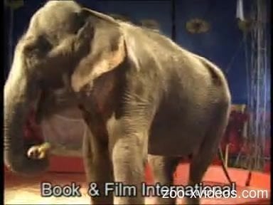 Elephant Fuck Girl - Smashing animal porn with a blonde and an elephant