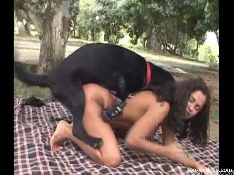 Fine ass woman appears having hard sex with a dog