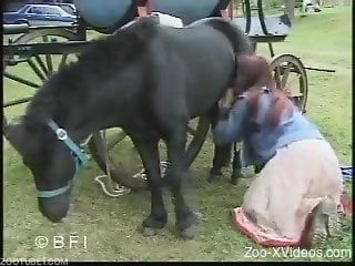 Severe outdoor zoophilia between a babe and a horse
