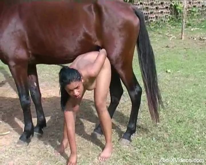 Nude Horse Sex Porn - Wild outdoor zoophilia horse sex with a nude wife