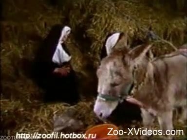 Nuns using the donkey to fuck them hard