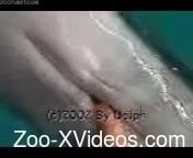Man films marine creature in zoophilia scenes
