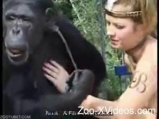 Monkey licks a pussy of a dirty-minded zoophile
