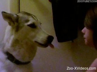 White dog kisses a sexy dark-haired zoophile slut