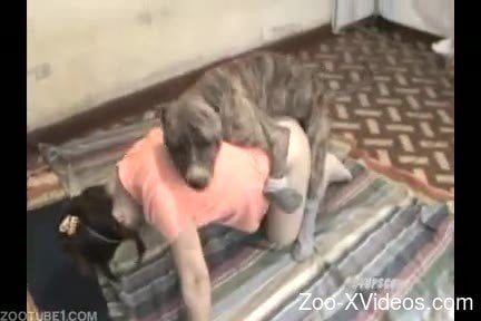Dog gets teen down on floor and owns her vagina