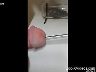 Sticking a worm in my tight cock head