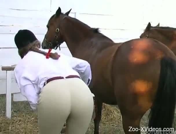 Horse And Girl Xvideo - Dirty farm animality with two stallions and jockey