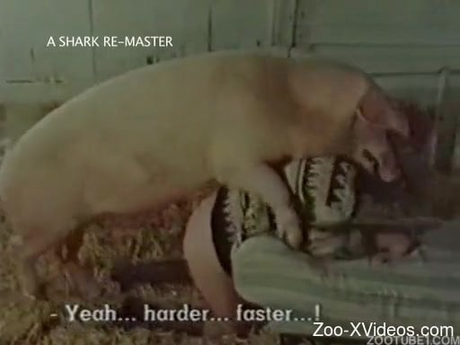 Animals Fuckinga Womens Xvideos - Vintage animality XXX with a giant pig and sexy stallion