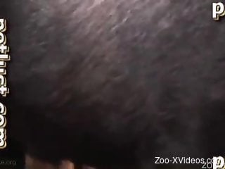 Good-looking black dog and zoophile in amateur Animal Porn
