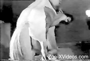 Vintage Zoo Porn - Vintage bestiality video of zoophile having sex with pony