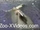 Sea cat is playing with his hard wiener for the first time