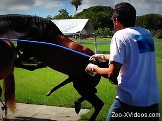 Man films two horse fucking and that really excites him