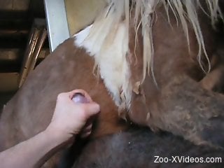Horny dude loves stroking the horse cock