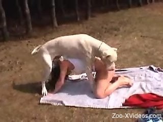 Nasty zoophile chick fucks a dog during her picnic