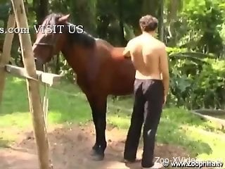 Latino twink getting his booty blasted by a horse