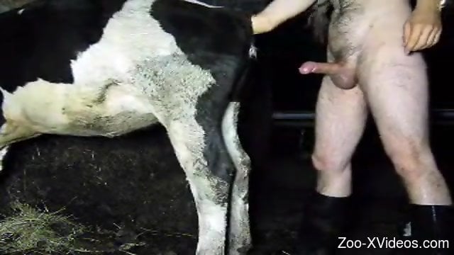 Xvideos Man To Animal - Male zoophile fucks every single animal he meets