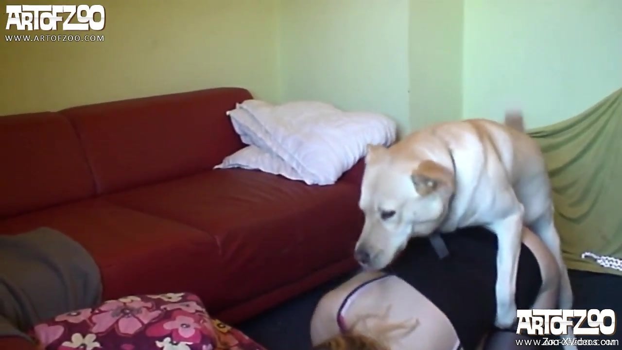 Stockings-clad babe getting plowed by a big-dicked dog
