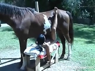 Latina with a tight cunt getting fucked by a stallion