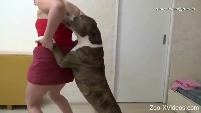 Russian Dog Sex Porn - Russian blonde getting power-fucked by a kinky dog