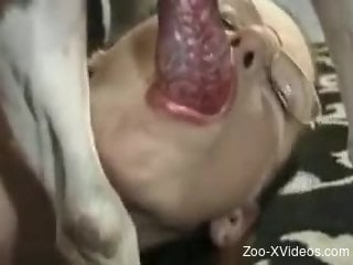 Throat-fucking session with a zoophile in glasses