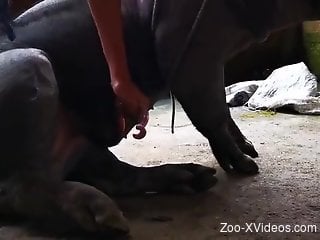 Kinky older lady gets fucked by a big-dicked beast