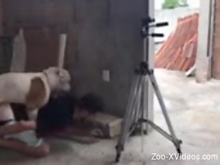 Gay male fucked by the dog when posing on cam