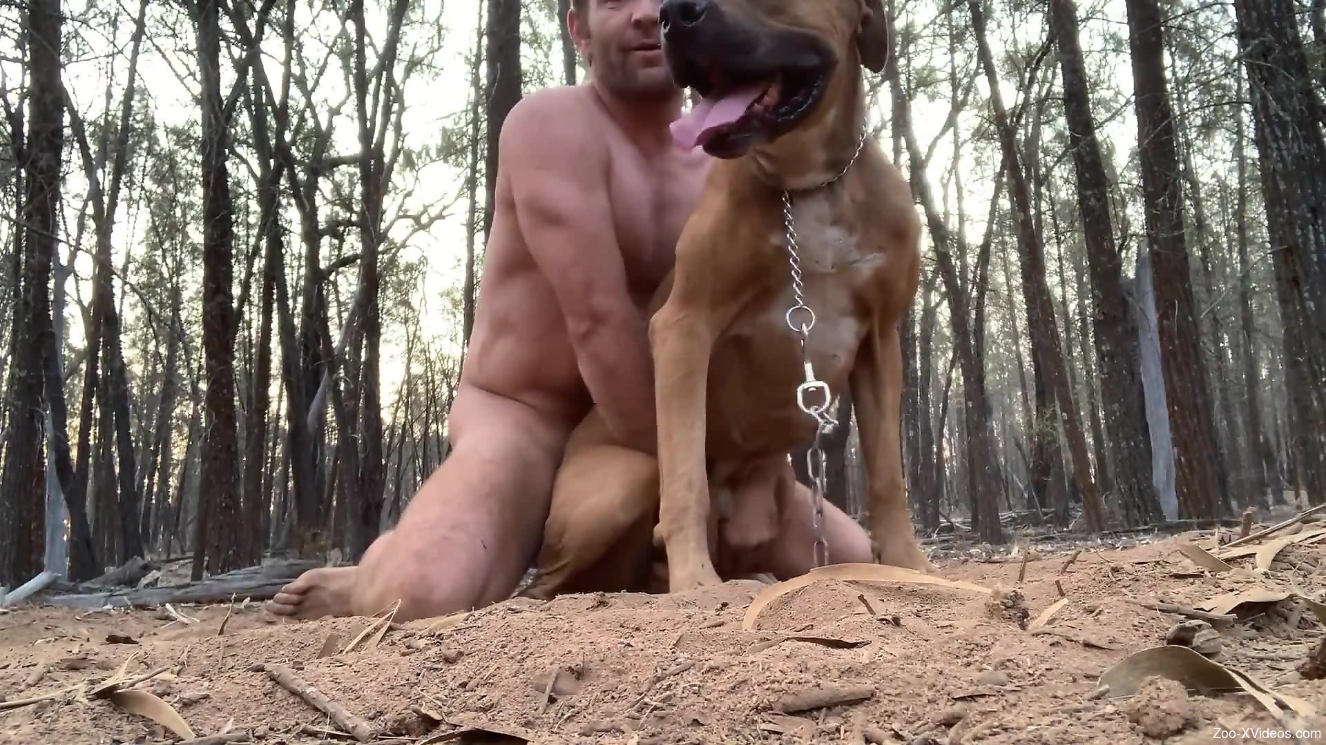 Guy Fucking A Pitbull - Muscular dude fucking his sexy animal from behind