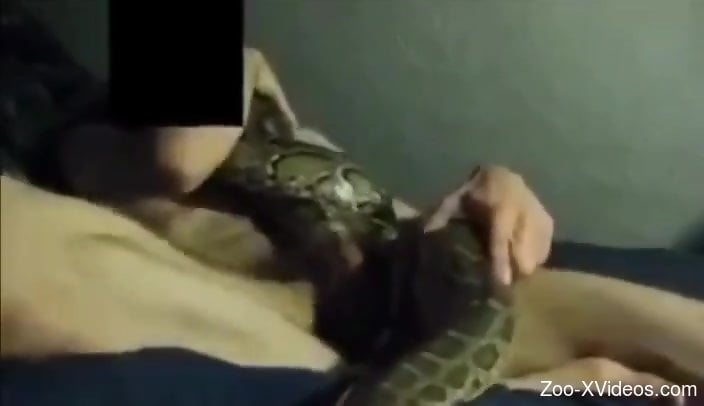 Beastly Porn Snake - Dude fucking an actual snake in front of the camera