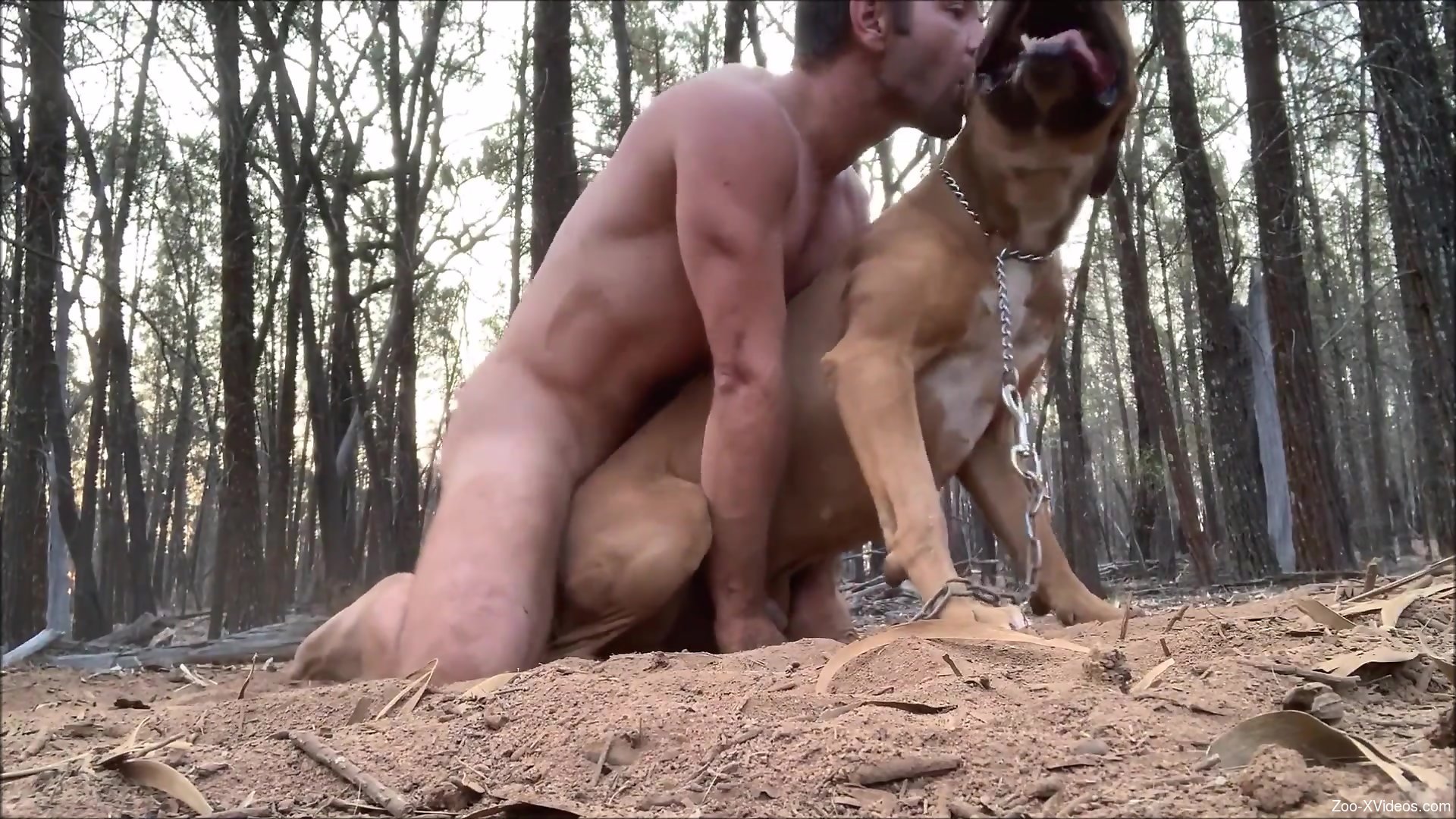 Animal And Man Fuckking - Shredded guy fucking a sexy brown animal in the woods