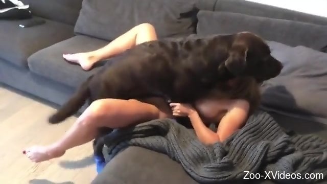 Blond-haired chick cannot wait to get fucked by a dog