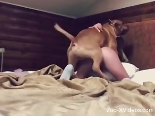 Wonderfully whorish hoe gets fucked by a brown dog