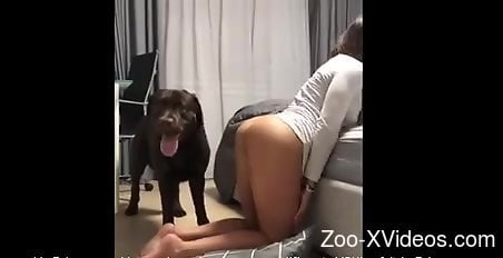 Dog Fuck Brunette - Brown animal banging a horny brunette from behind