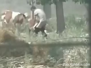 Dude pulls down his pants to fuck this dirty beast