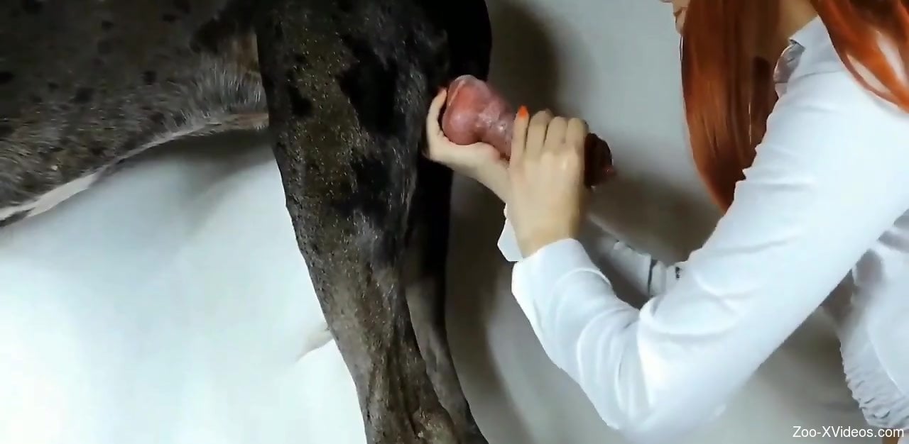 1280px x 626px - Experienced animal lover rewards the horse with a handjob
