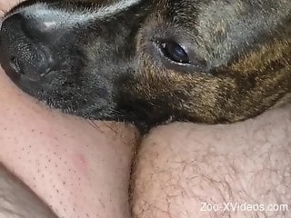 Man forces his dog to lick his balls and throat his dick