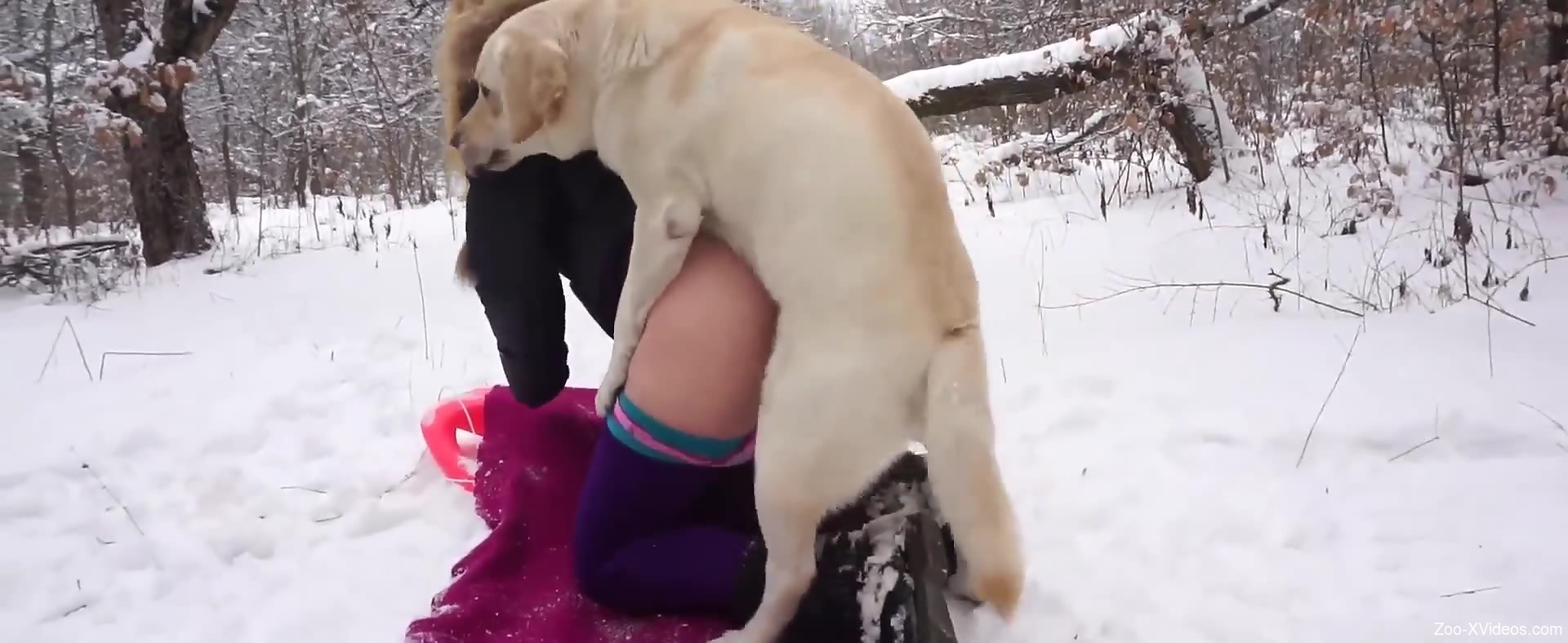 Sexxy Dog - Horny blonde lady fucks a sexy dog in the snow