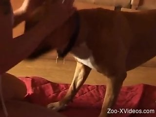 Insolent mature woman fucked in the ass by her dog