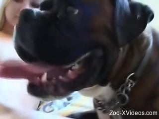 Dog pleases fine blonde with the right dose of dick