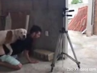 Amateur gay male bends ass for the dog to fuck his ass
