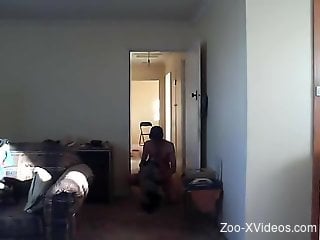 Amateur filmed in homemade XXX with his wife and dog