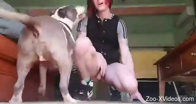 Animalsexfen - Aroused gay slut tries the dog dick in a live session