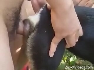 Guy impales a sexy animal on his oversized dong