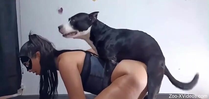 Steamy brunette dog fucked on cam and soaked in sperm