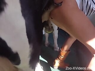 Hot lady getting dicked by a twisted animal too