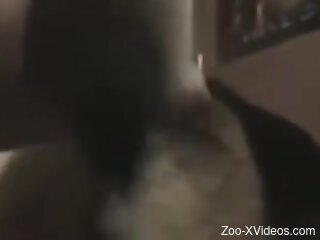 Man shares spicy moments when fucking his furry dog