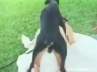 Amateur filmed  getting hard fucked by a dog