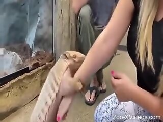 Blonde slut gets intimate with animals from the zoo