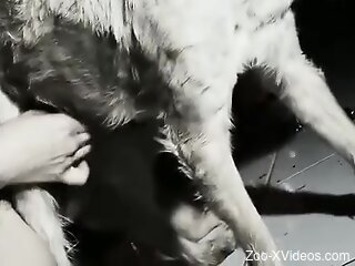 Nude woman gets loudly fucked by dog in homemade kinks