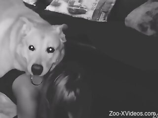 Dog fucks blonde woman's pussy and ass while she moans
