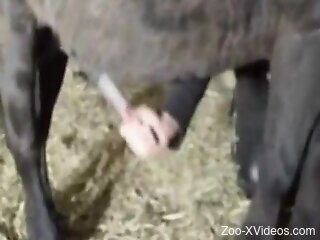 Aroused woman plays with the horse's big dick before sex